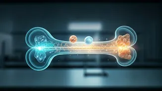 Beyond Calcium: Unveiling the Crucial Nutrients for Rock-Solid Bones