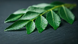 Unlocking the Power of Curry Leaves: A Nutritional Powerhouse for Health and Beauty