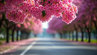 Related Stories banner