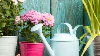 The Latest August Gardening Advice: A Practical Look At Careful Watering