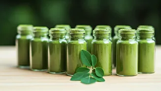 8 Moringa Powders: Boost Weight Loss and Wellness
