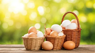 Concentrated Portfolios: Risks and Rewards