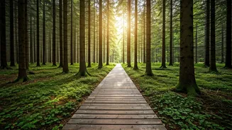 Navigating Emotional Well-being: A Guide for Life's Journey