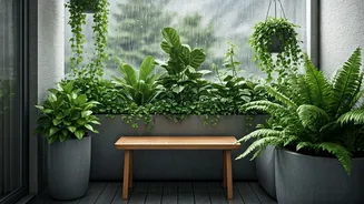 Small Balconies Can Thrive During Monsoon