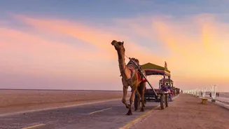 Rann Utsav 2025: The Festival Will Include THIS UNESCO World Heritage Site For The First Time Ever