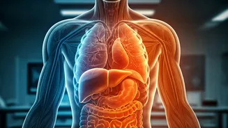 Unlocking Your Body's Secrets: A 48-Hour Water Fast Explained