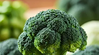 Broccoli Recipes Make Light, Fiber-Rich Dinners