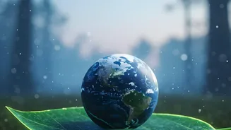 El Nino May Boost the Global Average Without Explaining Every Local Record