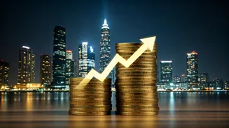 Zomato's Parent Company's Stellar Q3: A Deep Dive