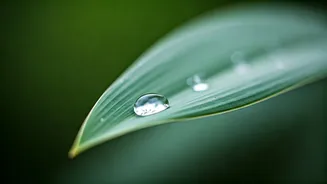 Why Monsoon Pimples Need A Different Approach
