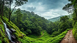 Nature's Best Rainy Escape Is Here