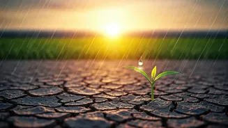 Why Experts Are Watching Rainfall And Inflation Together