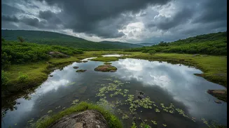 How Seasonal Rain Pools High In The Western Ghats Form Magical Weekend Trekking Destinations