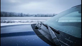 Mustang Wipers Running Only At Full Speed Trigger Ford Safety Recall