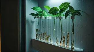 Transform Refrigerator Doors Displaying Magnetic Test Tube Propagation Stations