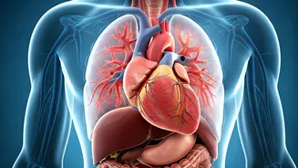 Heart Health: Warning Signs and Prevention