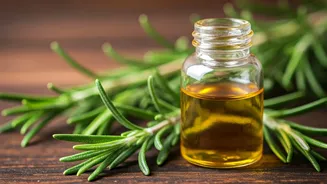 Rosemary Oil Can Help Your Hair Grow