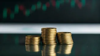 Smart Financial Moves: Investment Ideas for India