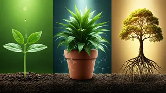 Hair Fall Solutions: Tailored Approaches for Your 20s, 30s, and 40s