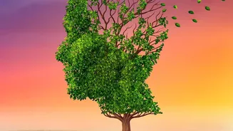 Stop Brain Fog Fast: Spend 10 Minutes In Morning Light To Reset Rhythms
