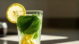 Betel Leaf Ginger Lemonade Rules Midday Digestion Trends