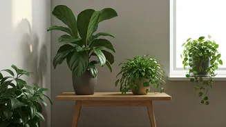 Indoor Greens Are Quietly Good Mood Decor