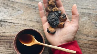 Why chaga mushrooms are gaining popularity