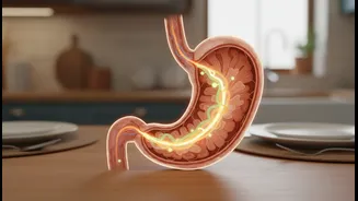 Could Your Eating Schedule Be Affecting Acid Reflux More Than You Think?