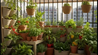 How space-saving layout hacks allow growing vegetables in tiny apartment balcony zones