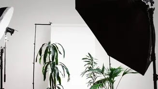 Self initiated projects enable fresh graduates to build portfolios and secure freelance clients