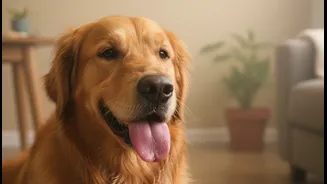 Indoor Pet Overheating in Humid Homes: What Changes for Indian Cat, Dog and Small-Animal Owners