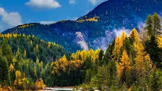 Why Shoja And Tirthan Valley Are Perfect Offbeat Choices For Autumn Travel