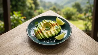 India's Oldest Avocado Tree And The Latest Picture On The Tree's History