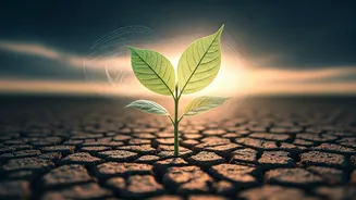 Gen Alpha's Emotional Intelligence Paradox: Over-Therapized or Resilient?