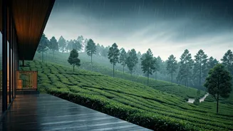 Munnar Tea Garden Eco Villas Offer Ultimate Romantic Monsoon Escape
