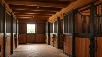 Related Stories banner