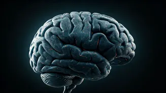 Related Stories banner