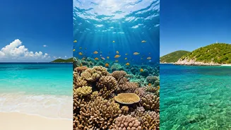 ABC Islands: Aruba vs. Bonaire vs. Curaçao - Your Ultimate Caribbean Getaway Guide