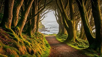 Ireland's Secret Trails: Uncover Breathtaking Hikes Beyond the Crowds