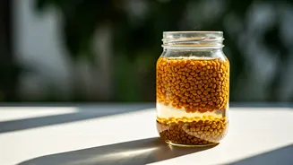 Regulate Energy Spikes Naturally Using Overnight Soaked Fenugreek Water