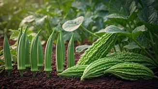 Rain-Loving Vegetables Every Beginner Should Know