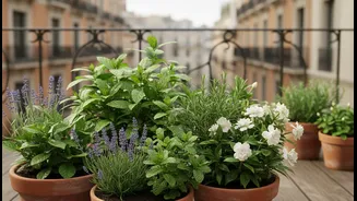 A Balcony Garden Should Smell Alive, Not Like A Perfume Counter