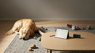 How Consistent Routines Saved Millennial Couples From Extreme Pet Stress