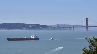 San Francisco Implements AI Technology to Protect Whales from Ship Collisions