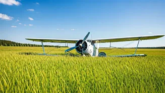 Remembering Nick Mastrascusa: A Life Cut Short