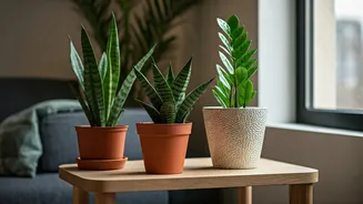 Hardy Plants Are Winning Over Fragile Decor Greens