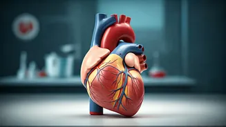 Impact of Ghee & Oil Absence on Your Body