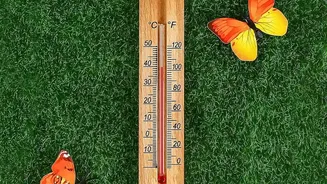 Indoor Temperature Changes Can Matter as Much as Departure-Day Watering