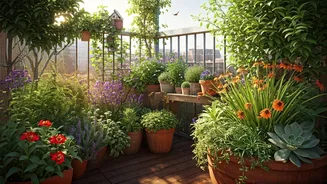 Urban Biodiversity Begins Right On Your Terrace
