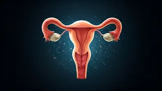 Empowering Women's Health: A New Era in Indian Health Insurance Coverage